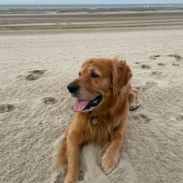Largo profile