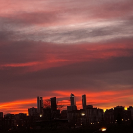 Ana gabriela profile