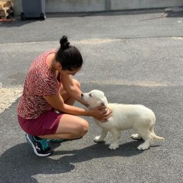 Tygnom - lumière profile