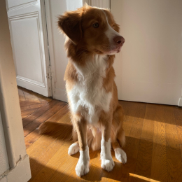 Valto profile