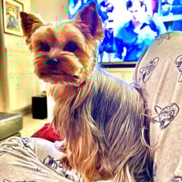 Roxy profile