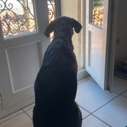 Tyta profile