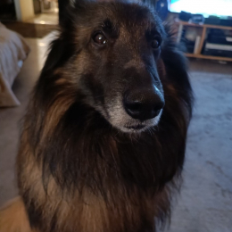 Marvin profile