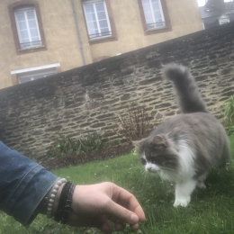 Julien profile