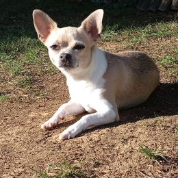 Lulu profile