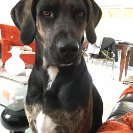 Hope profile