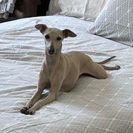 Louna profile