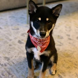 Sokuu profile