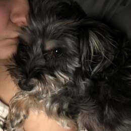 Molly profile