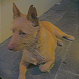 Lucas profile