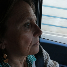 Galice profile