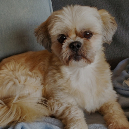 Nadhuant@gmail.com profile