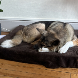 Vao profile