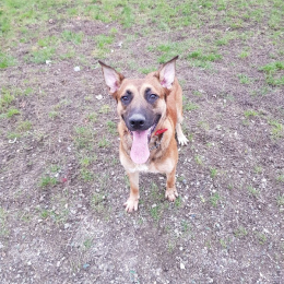 Casse croûte  profile