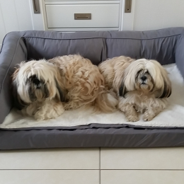 Caramel  et chocolat profile