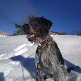 Reïka profile