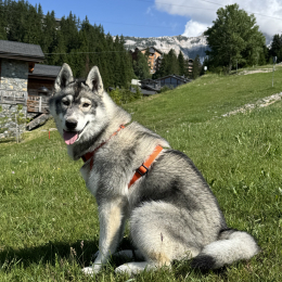 Vanya profile