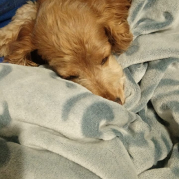 Esther profile