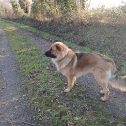 Oscar profile