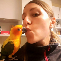 Méryl&geoffrey profile