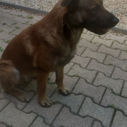 Youri profile