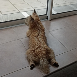 Tobi profile