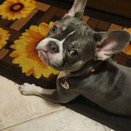Happy profile